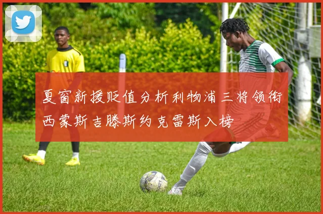 夏窗新援贬值分析利物浦三将领衔西蒙斯吉滕斯约克雷斯入榜